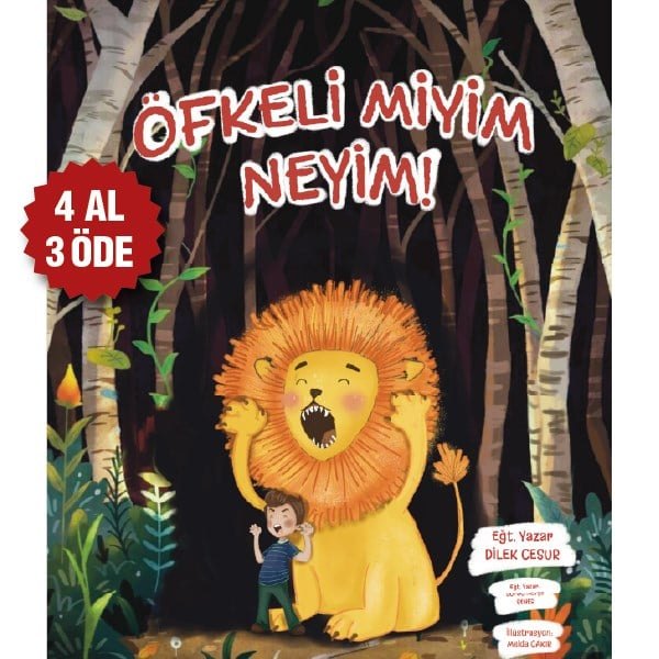 Öfkeli miyim Neyim? kitap kapağı